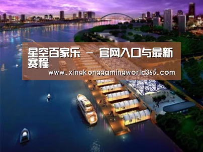 案例展示八