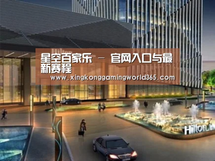 案例展示二