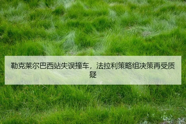 lei-ke-lai-er-ba-xi-zhan-shi-wu-zhuang-che-fa-la-li-ce-lve-zu-jue-ce-zai-shou-zhi-yi-2-892.jpg