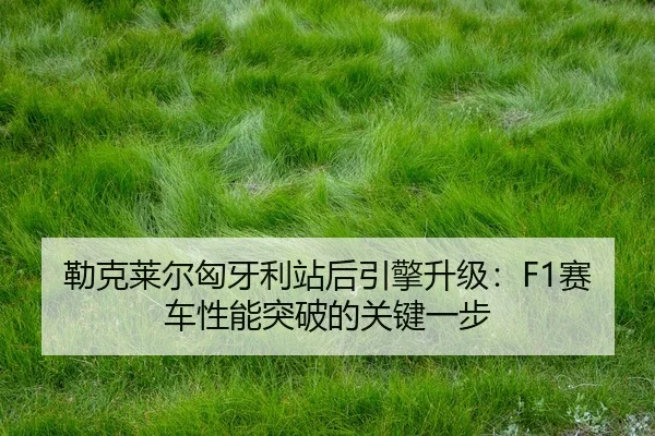 lei-ke-lai-er-xiong-ya-li-zhan-hou-yin-qing-sheng-ji-sai-che-xing-neng-tu-po-de-guan-jian-yi-bu-2-641.jpg