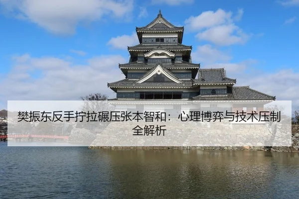 樊振东反手拧拉碾压张本智和：心理博弈与技术压制全解析