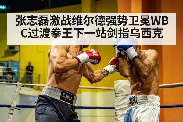 张志磊激战维尔德强势卫冕WBC过渡拳王下一站剑指乌西克