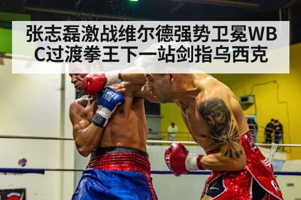 boxing knockout punch