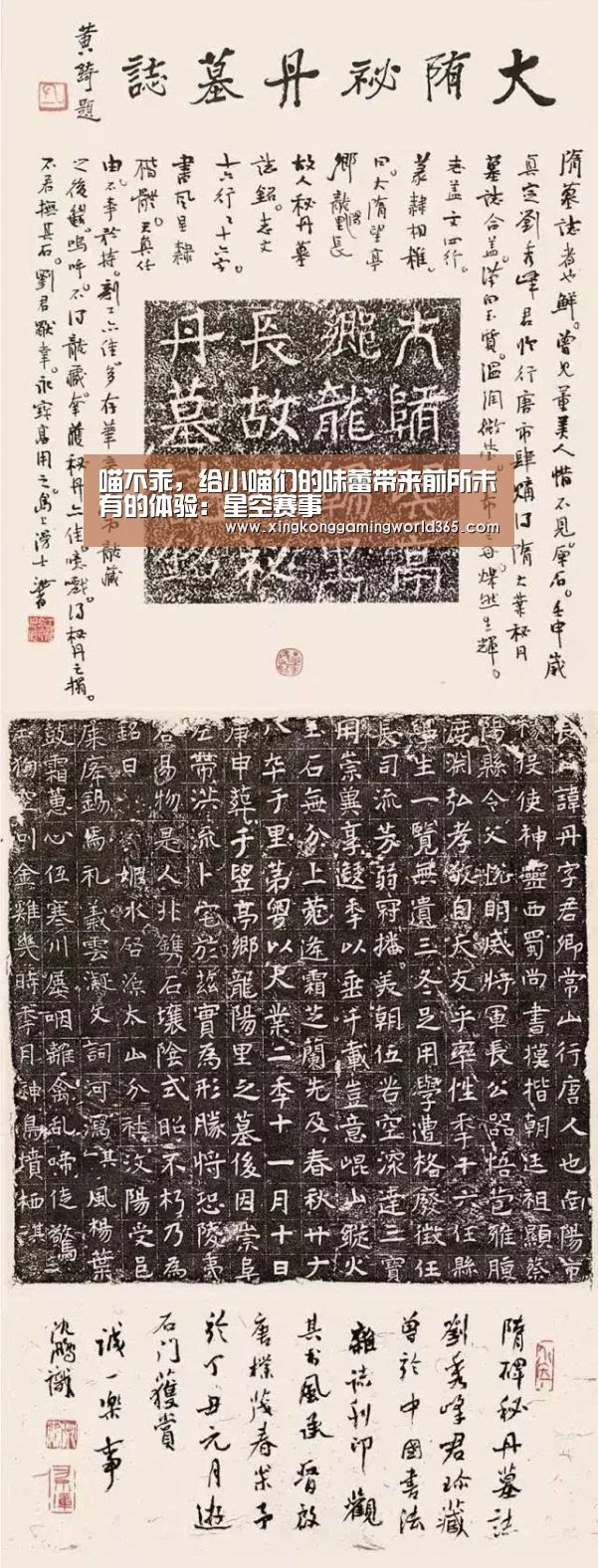 喵不乖,给小喵们的味蕾带来前所未有的体验:星空赛事(图3) 星空真人