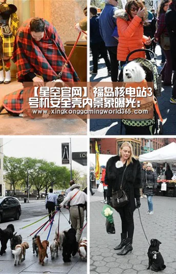 【星空官网】福岛核电站3号机安全壳内景象曝光:无明显损伤(图)(图1) 星空竞猜