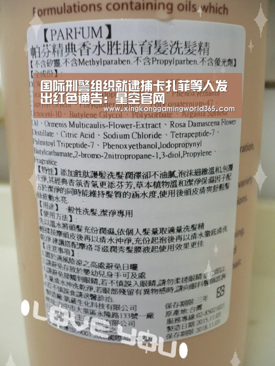 国际刑警组织就逮捕卡扎菲等人发出红色通告:星空官网(图1) 星空赛事