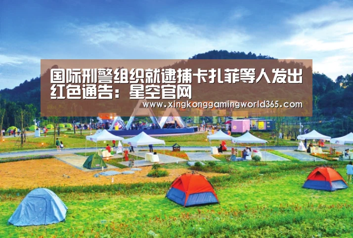国际刑警组织就逮捕卡扎菲等人发出红色通告:星空官网(图3) 星空赛事