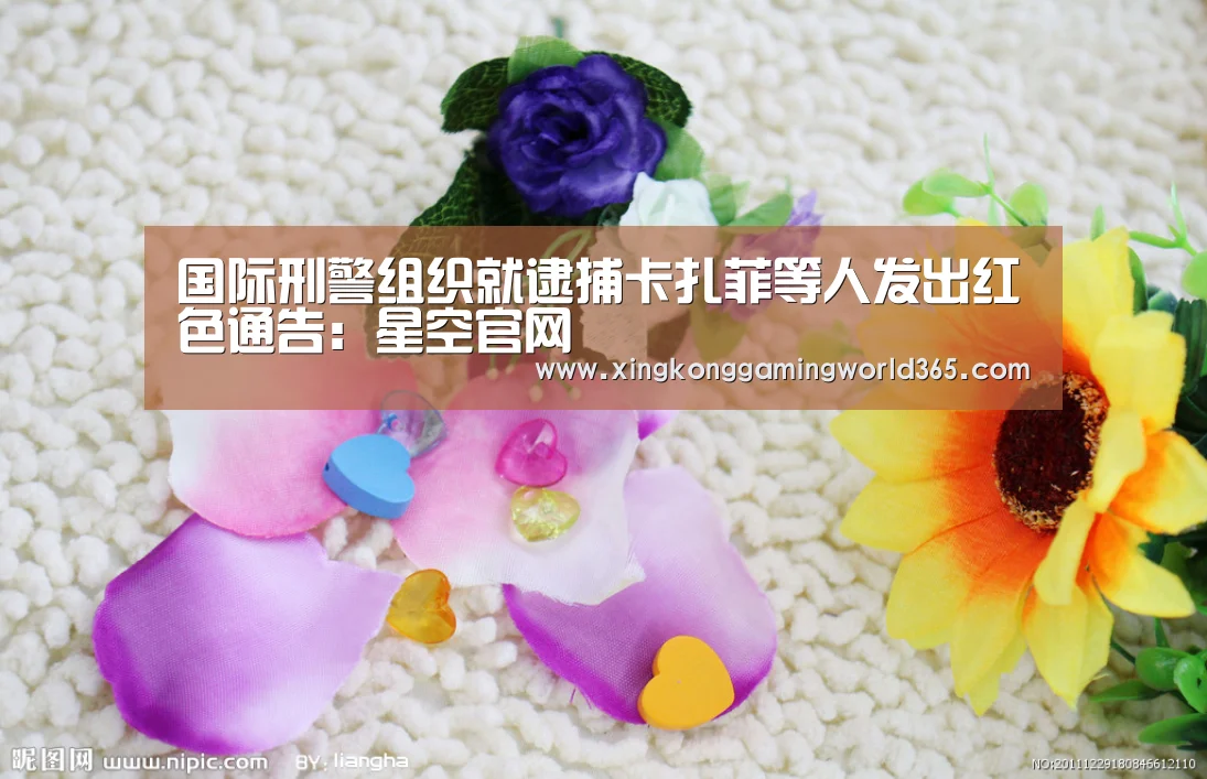 国际刑警组织就逮捕卡扎菲等人发出红色通告:星空官网(图2) 星空赛事