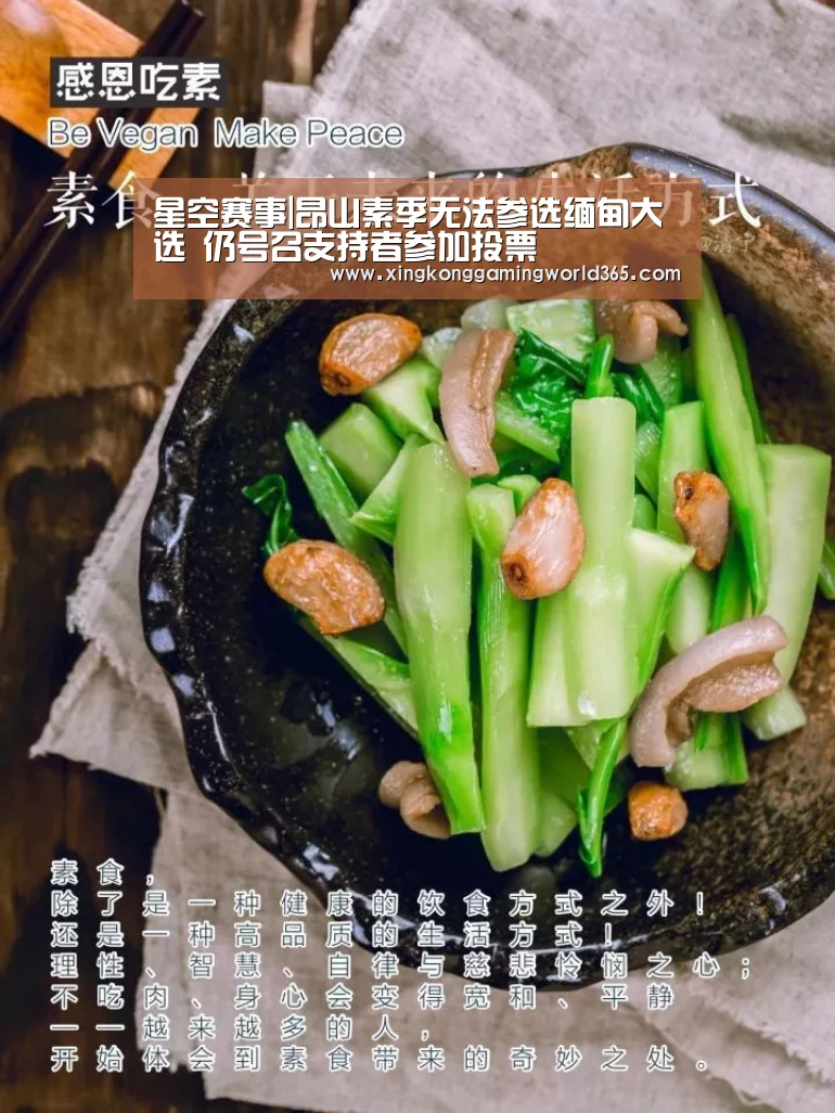 星空赛事|昂山素季无法参选缅甸大选 仍号召支持者参加投票(图3) 星空真人