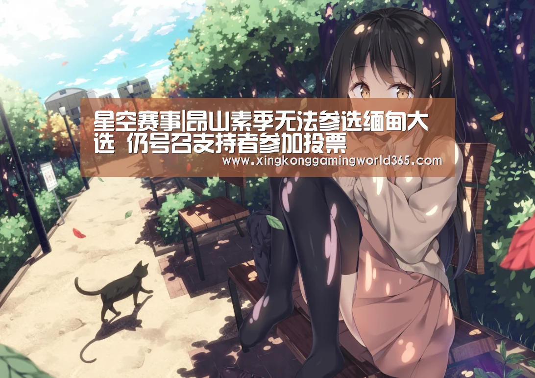 星空赛事|昂山素季无法参选缅甸大选 仍号召支持者参加投票(图4) 星空竞猜