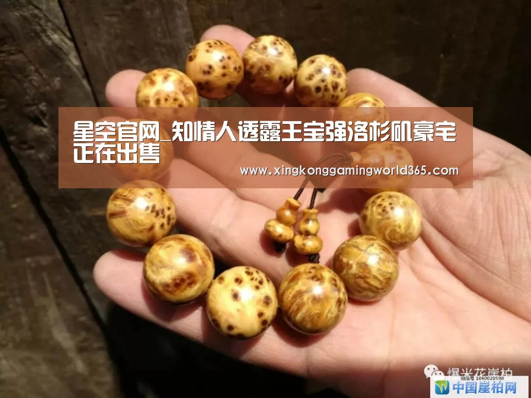 星空竞猜
