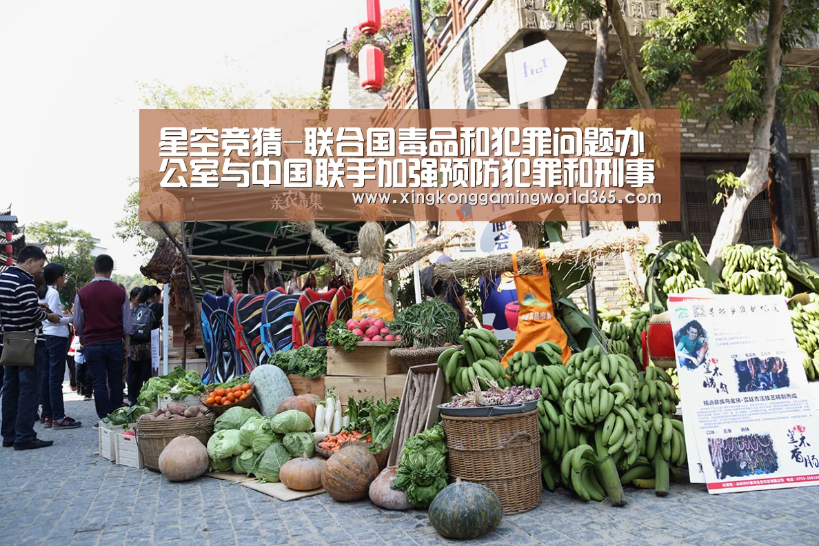 星空竞猜-联合国毒品和犯罪问题办公室与中国联手加强预防犯罪和刑事司法合作(图2) 星空真人